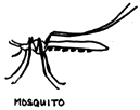 Most flies, gnats, fleas, mosquitoes and ants are mainly nuisances. Deer flies, black flies, horse flies and a few others may cause painful bites, but they are not dangerous.
